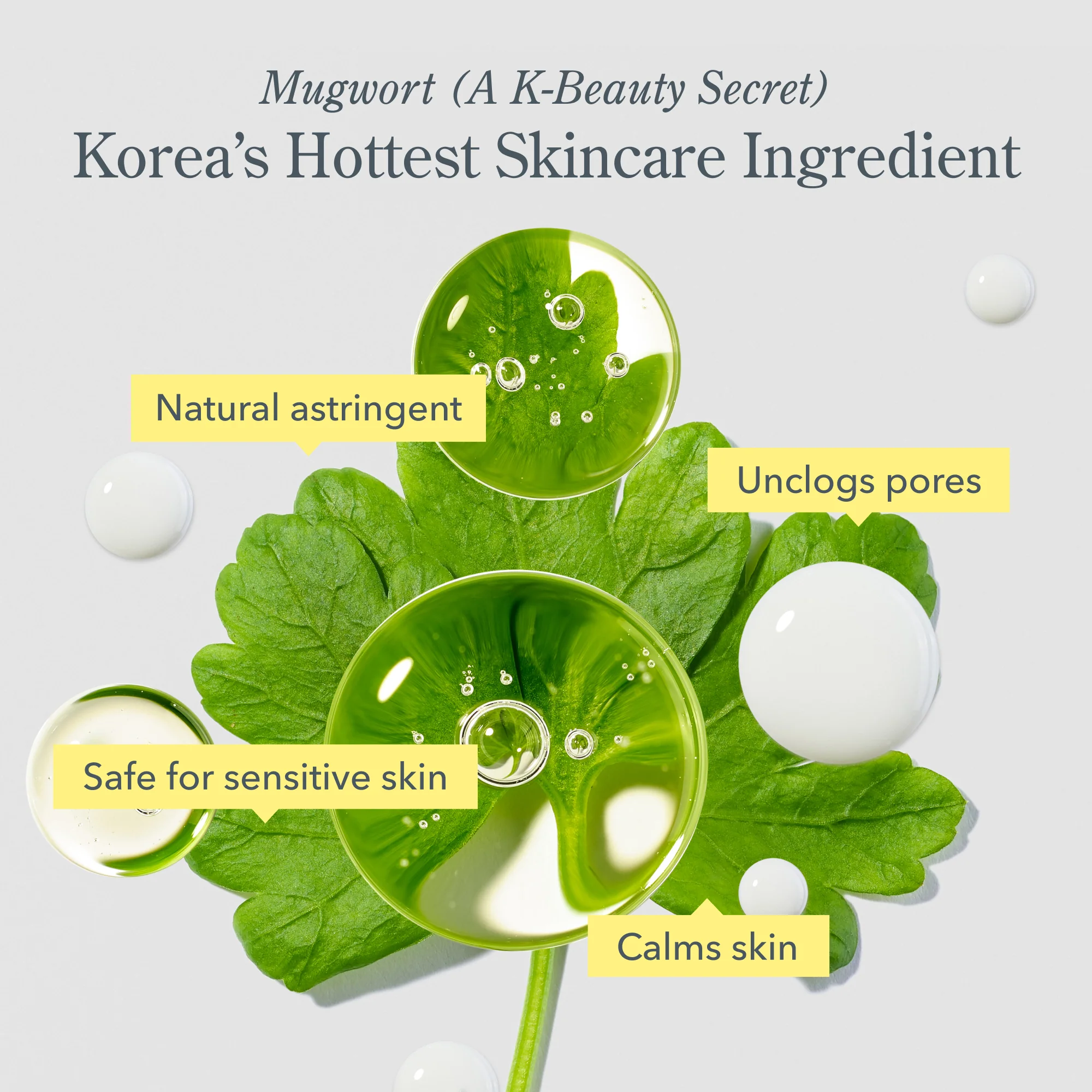 Skincare Winners Travel-Size Skincare Gift Set - Image 9