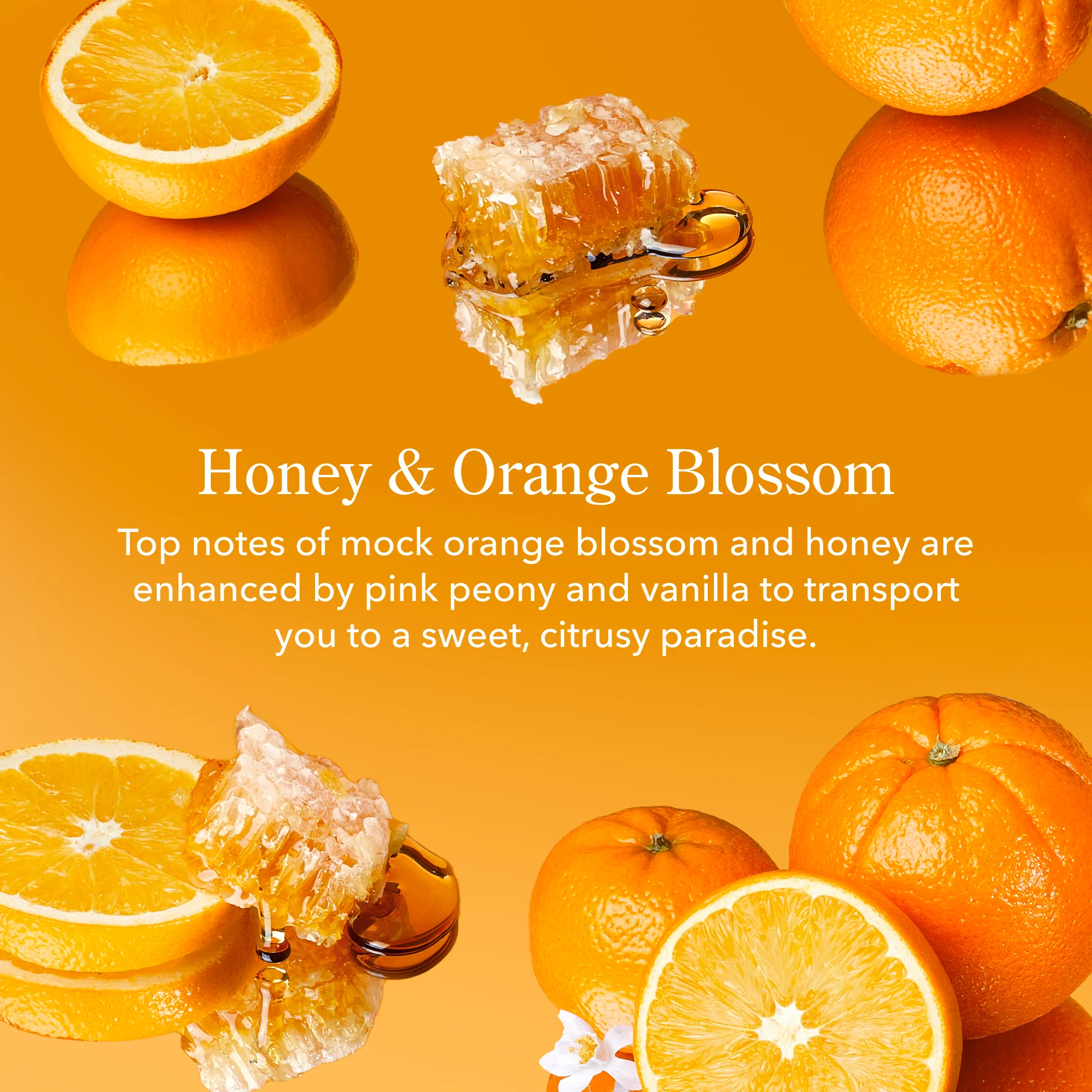Honey & Orange Blossom Bodycare Bundle - Image 3
