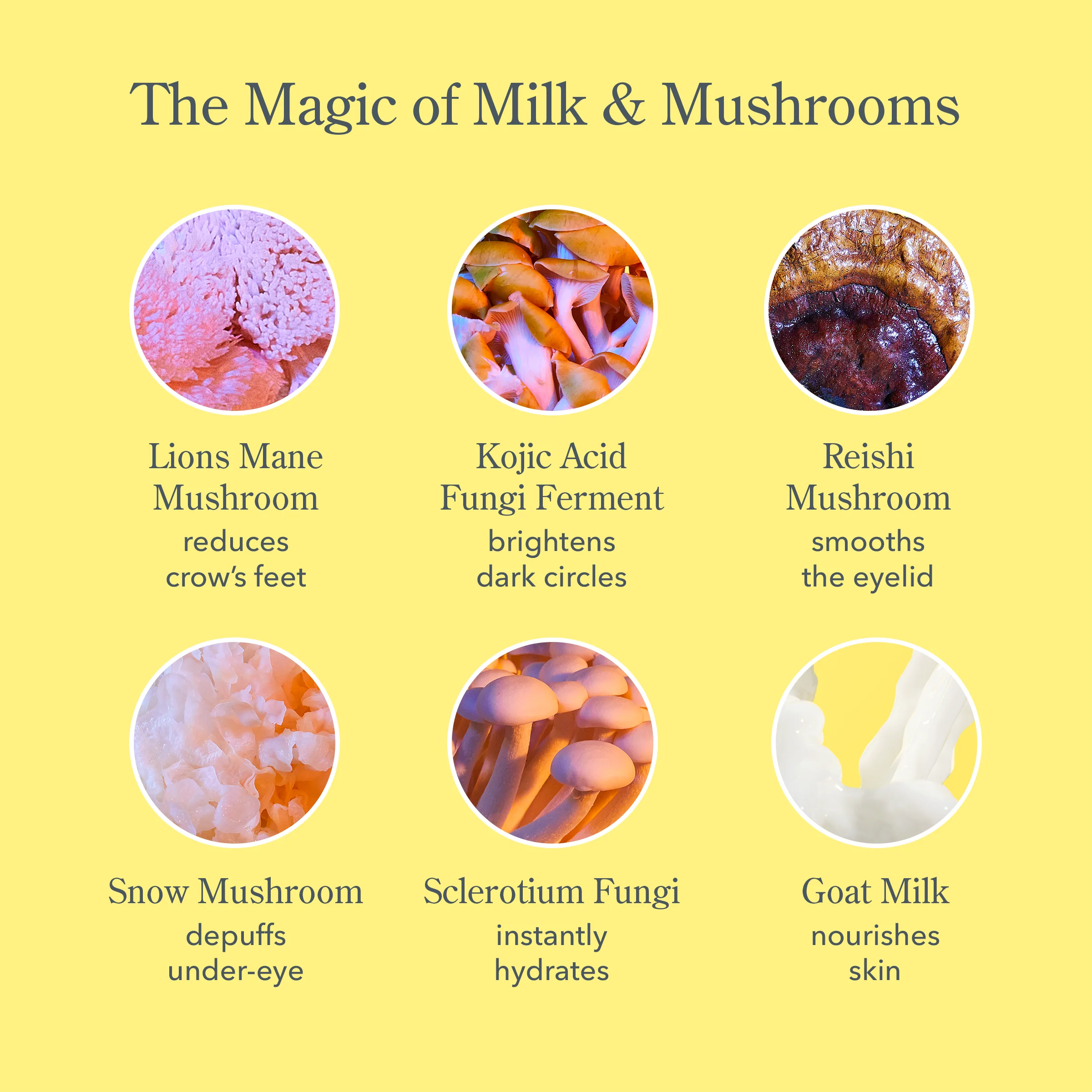 Shroom & Bloom Set - Image 4